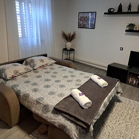 Apartman Darija Pazin Kültér fotó
